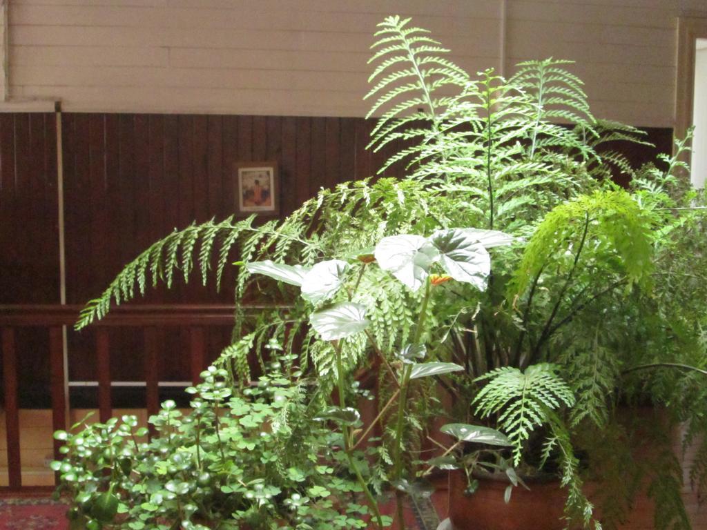 Hostal Patrimonial Angelmo بويرتو مونت المظهر الخارجي الصورة